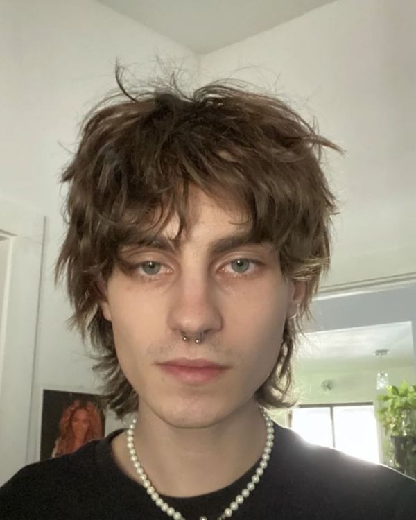 Shaggy Mod Cut